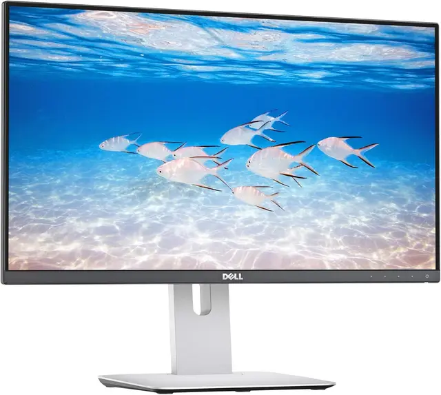 Dell UltraSharp 24